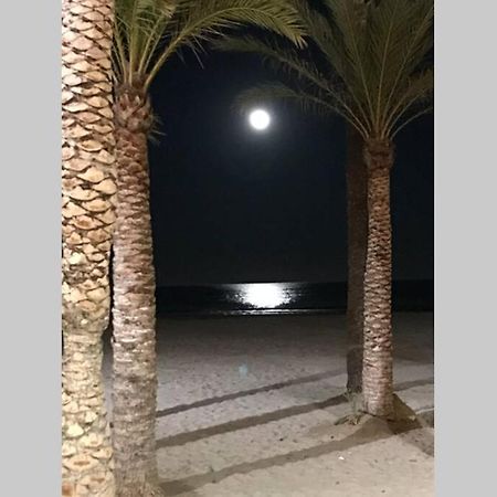 La Gaviota Apartment, In The Heart Of The Port خافييا المظهر الخارجي الصورة