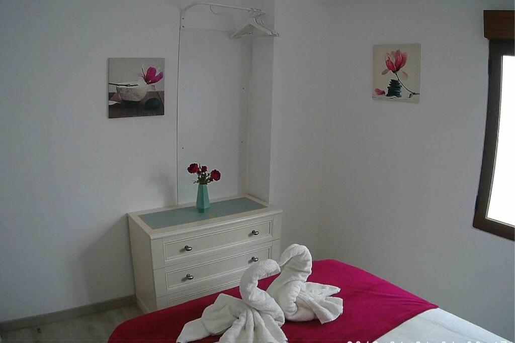 La Gaviota Apartment, In The Heart Of The Port خافييا المظهر الخارجي الصورة